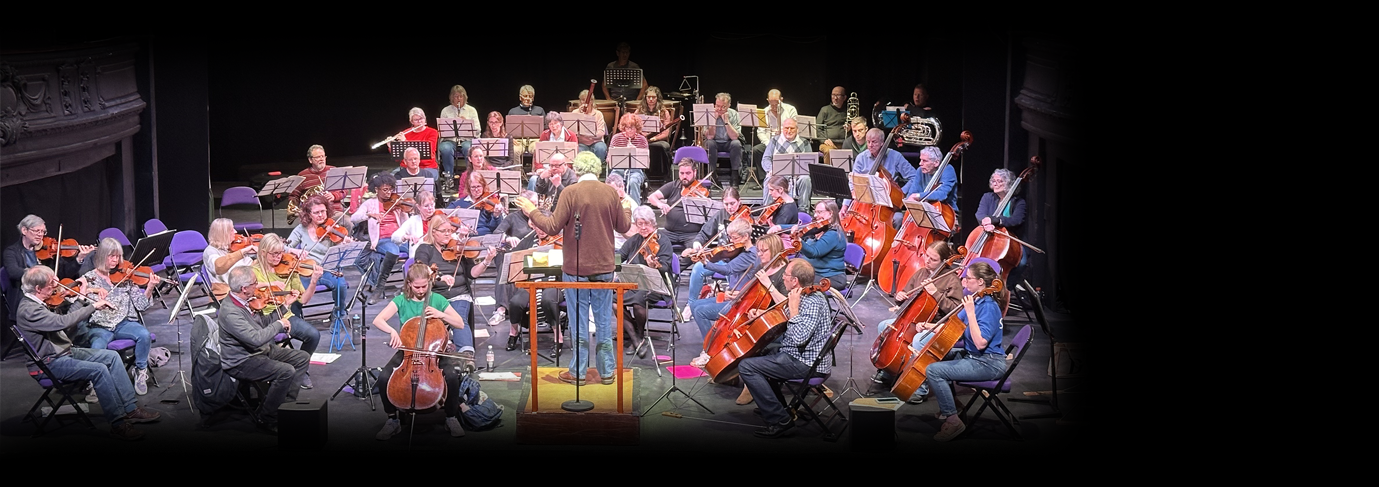 City of Rochester Symphony Orchestra hero image